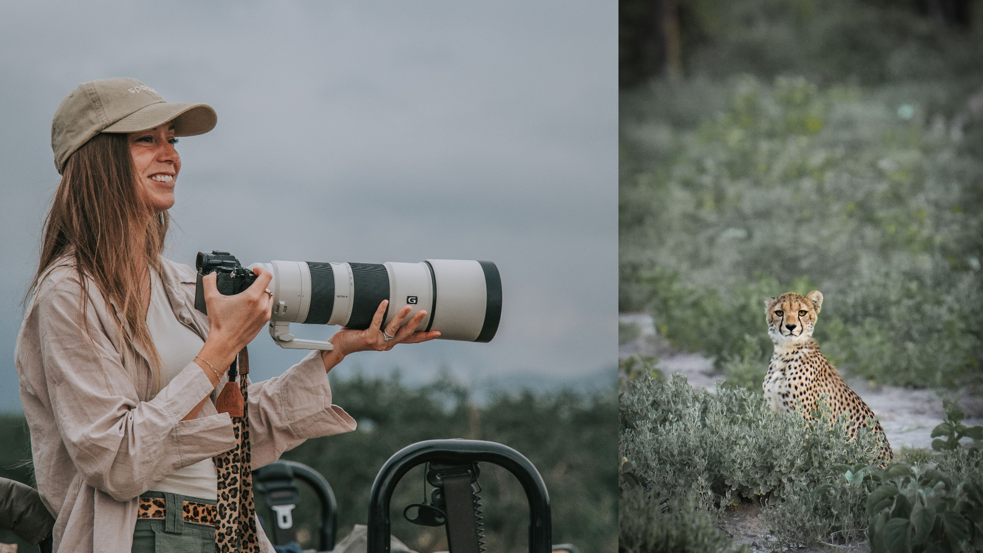 Kim Colson en safari avec un guépard