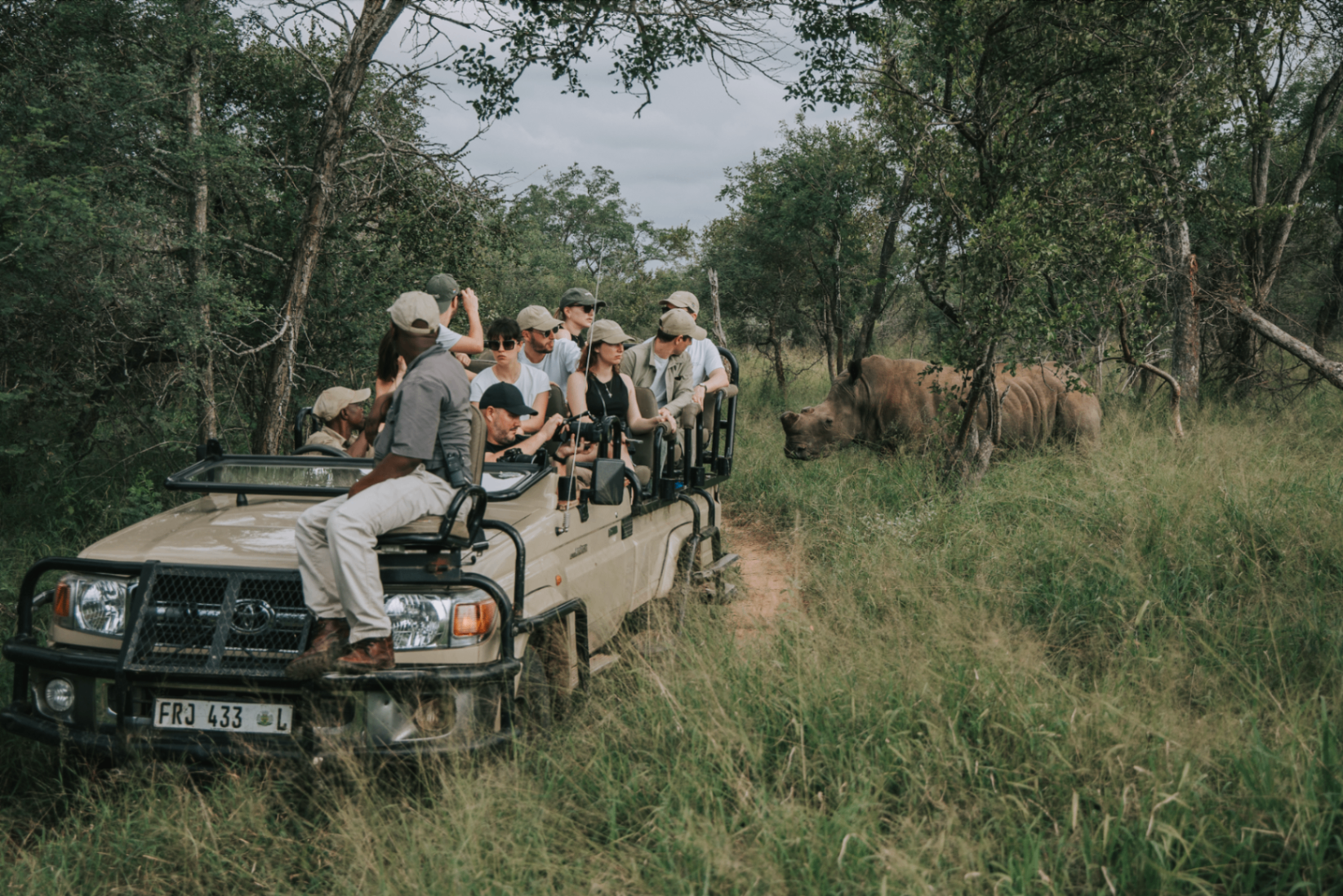 Safari en 4x4 face à un rhinocéros dans la brousse